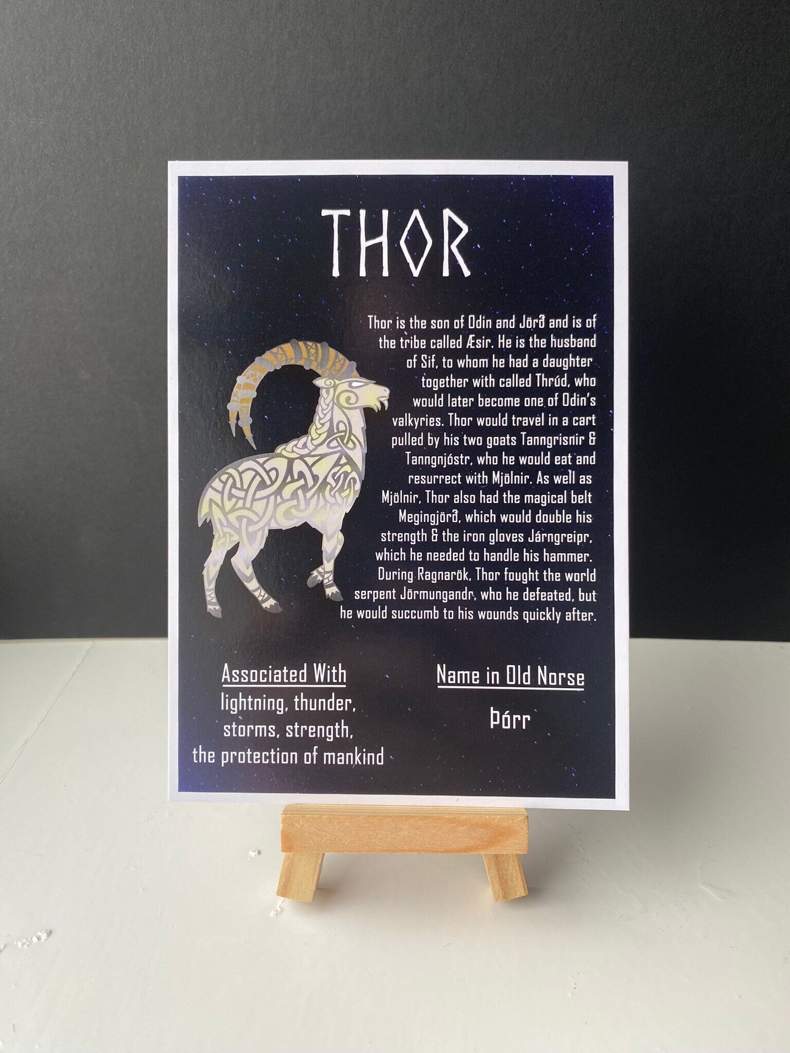 Thor Postcard Print // Norse Aesir // Ragnarok Series // A6 Glossy // Blank Back