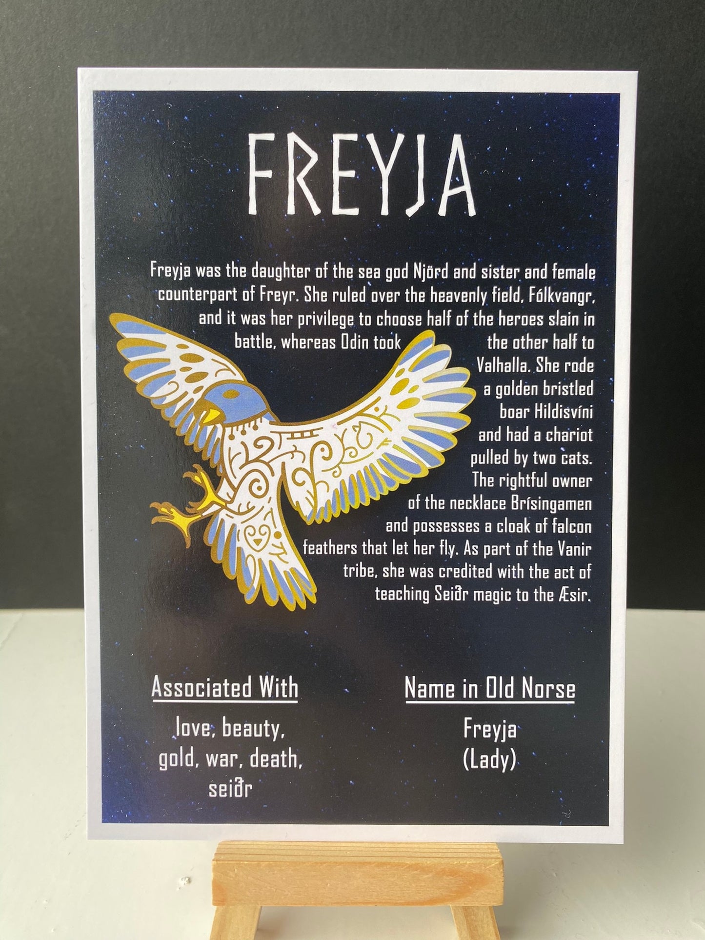 Freyja Postcard Print // Norse Freya // Ragnarok Series // A6 Glossy // Blank Back