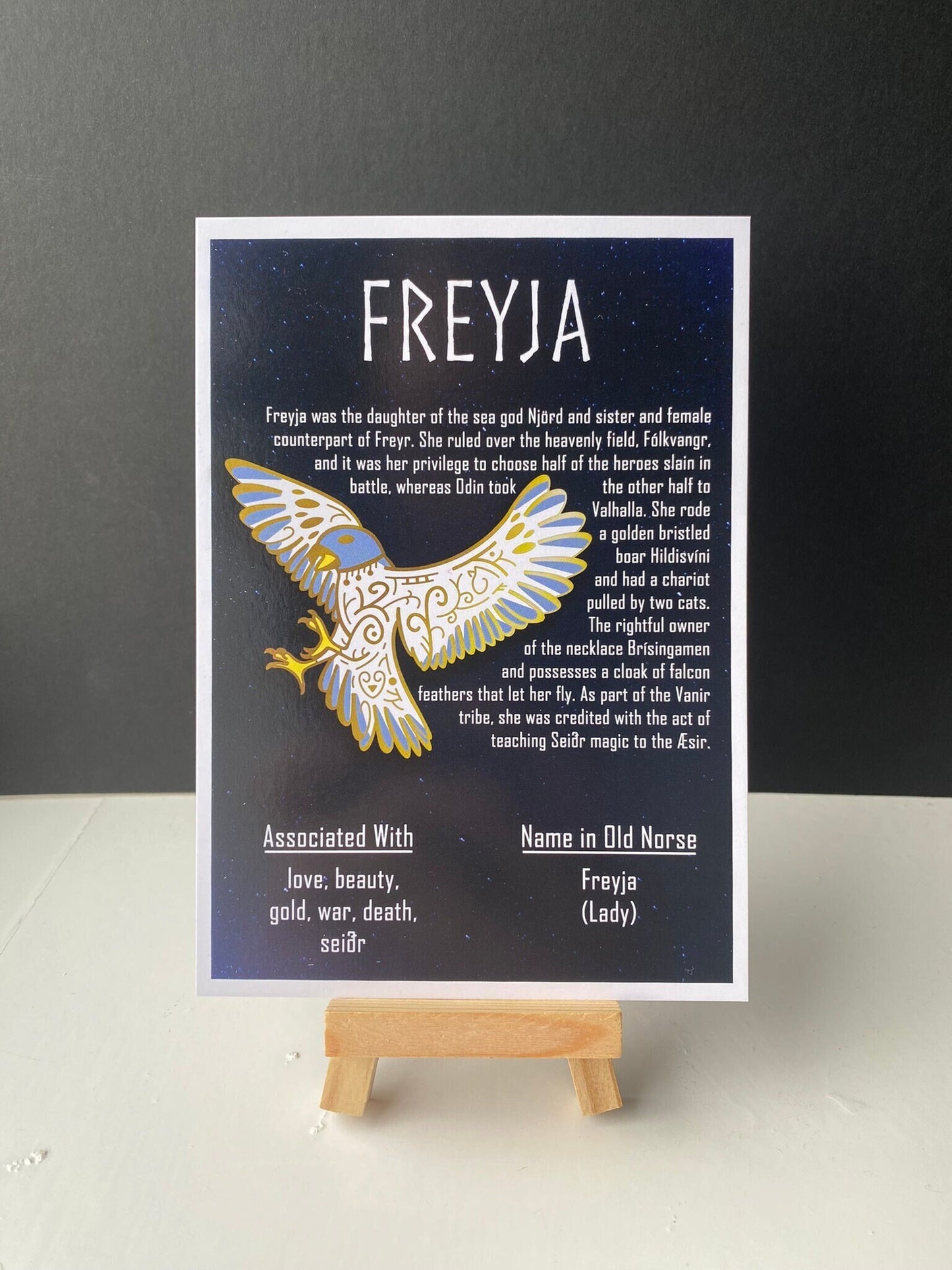 Freyja Postcard Print // Norse Freya // Ragnarok Series // A6 Glossy // Blank Back